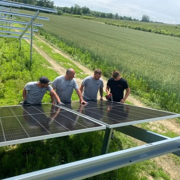 Vier Mitarbeiter begutachten eine Photovoltaikanlage in einem Feld